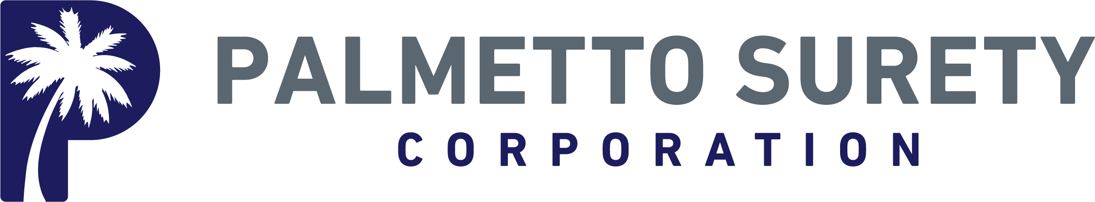 Palmetto Surety Corporation